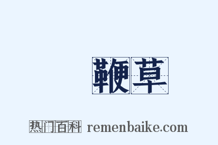 馬鞭草是什么意思的图片